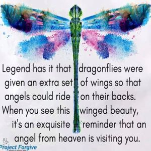 Meet your Posher, Rivera